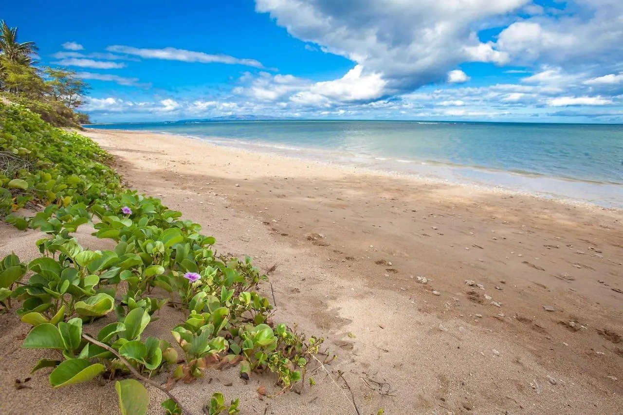 Luana Kai D305 By Coldwell Banker Island Vacations Villa Kihei Holiday home