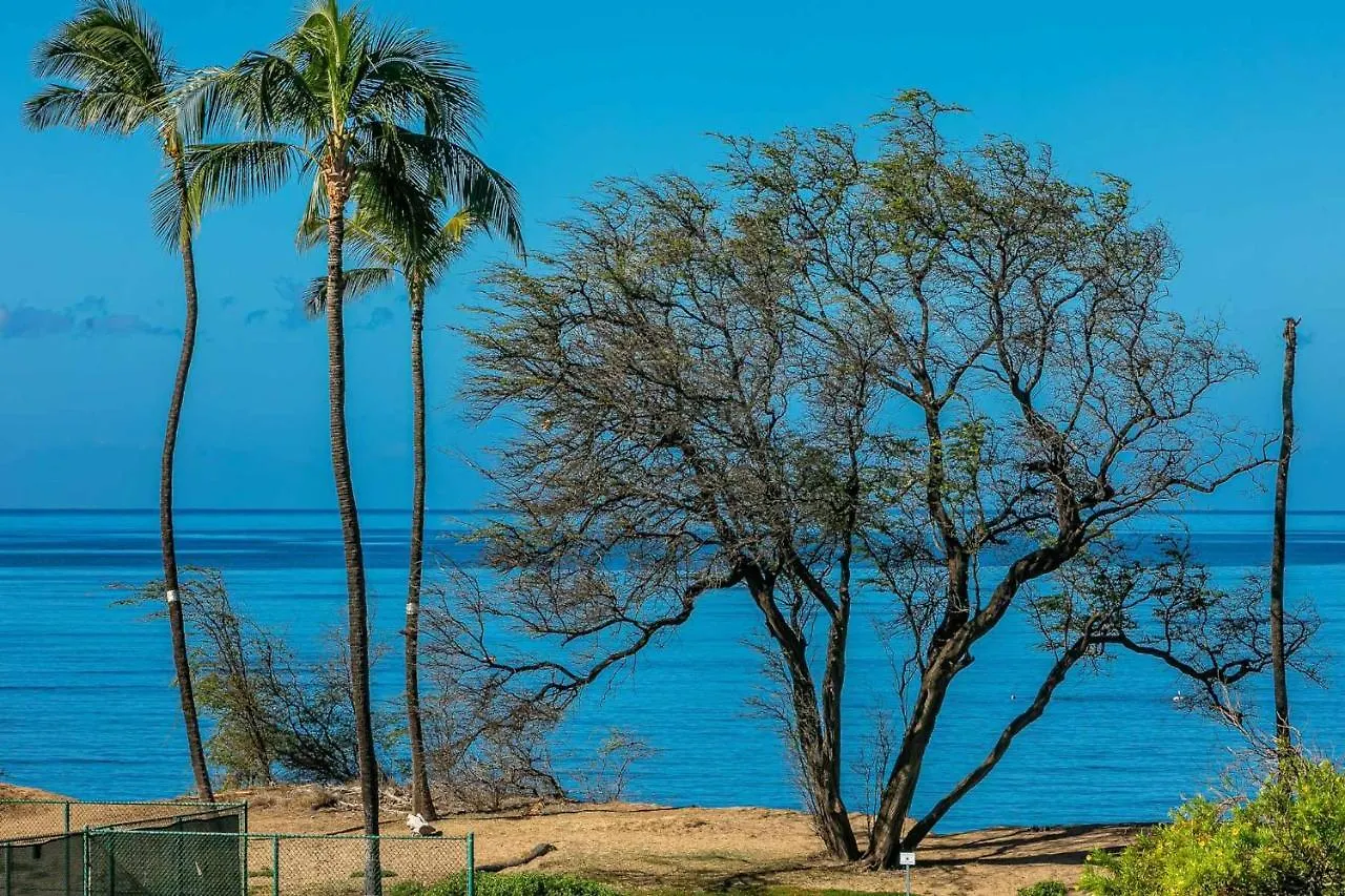 Luana Kai D305 By Coldwell Banker Island Vacations Villa Kihei